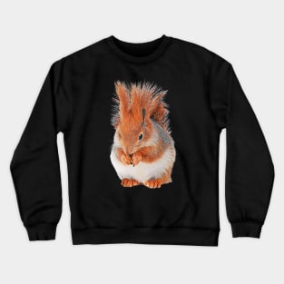 Squirrel - Woodland Themed Kids Room, Funny Gifts For Forester, Cute Animals Crewneck Sweatshirt